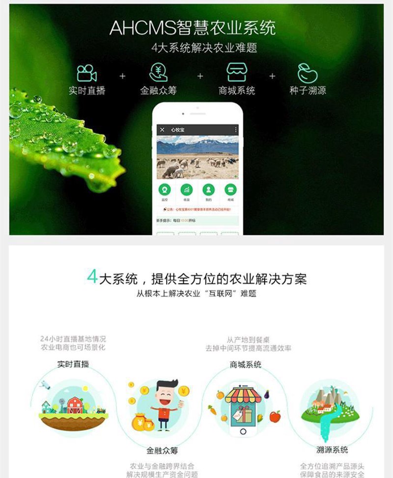 金融系统定制开发